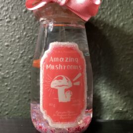 Glass Potion Shaker Bottle | Magic Mushroom Elixir