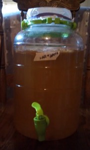 kombucha